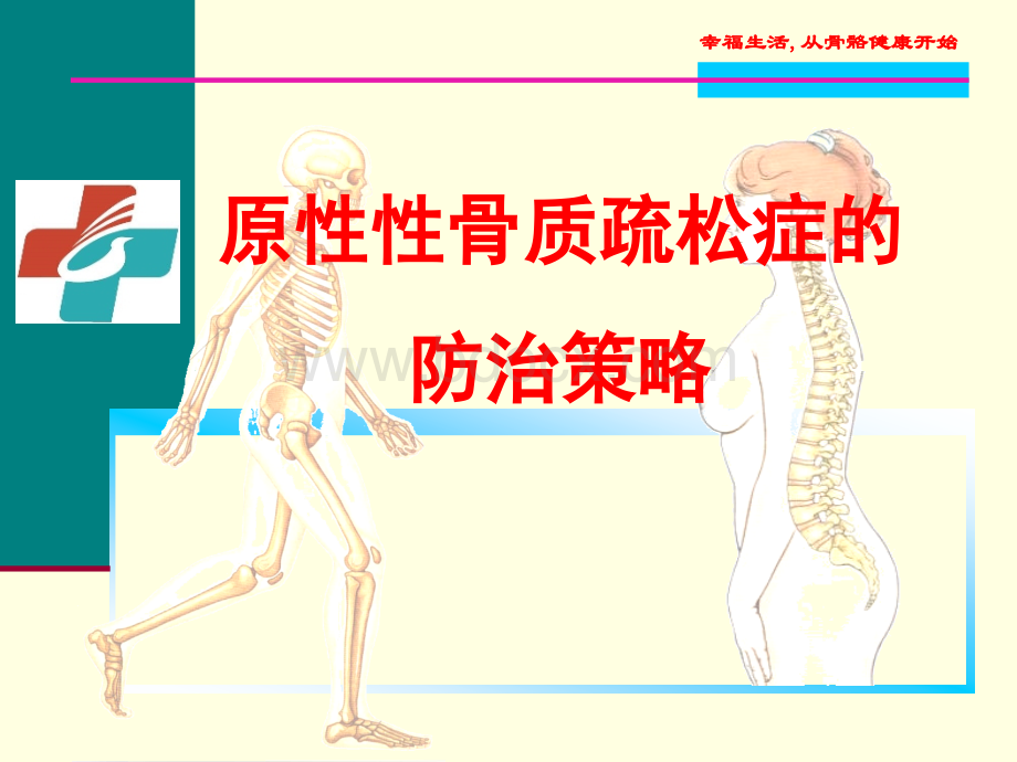 骨质疏松症的防治策略_精品文档PPT文档格式.ppt