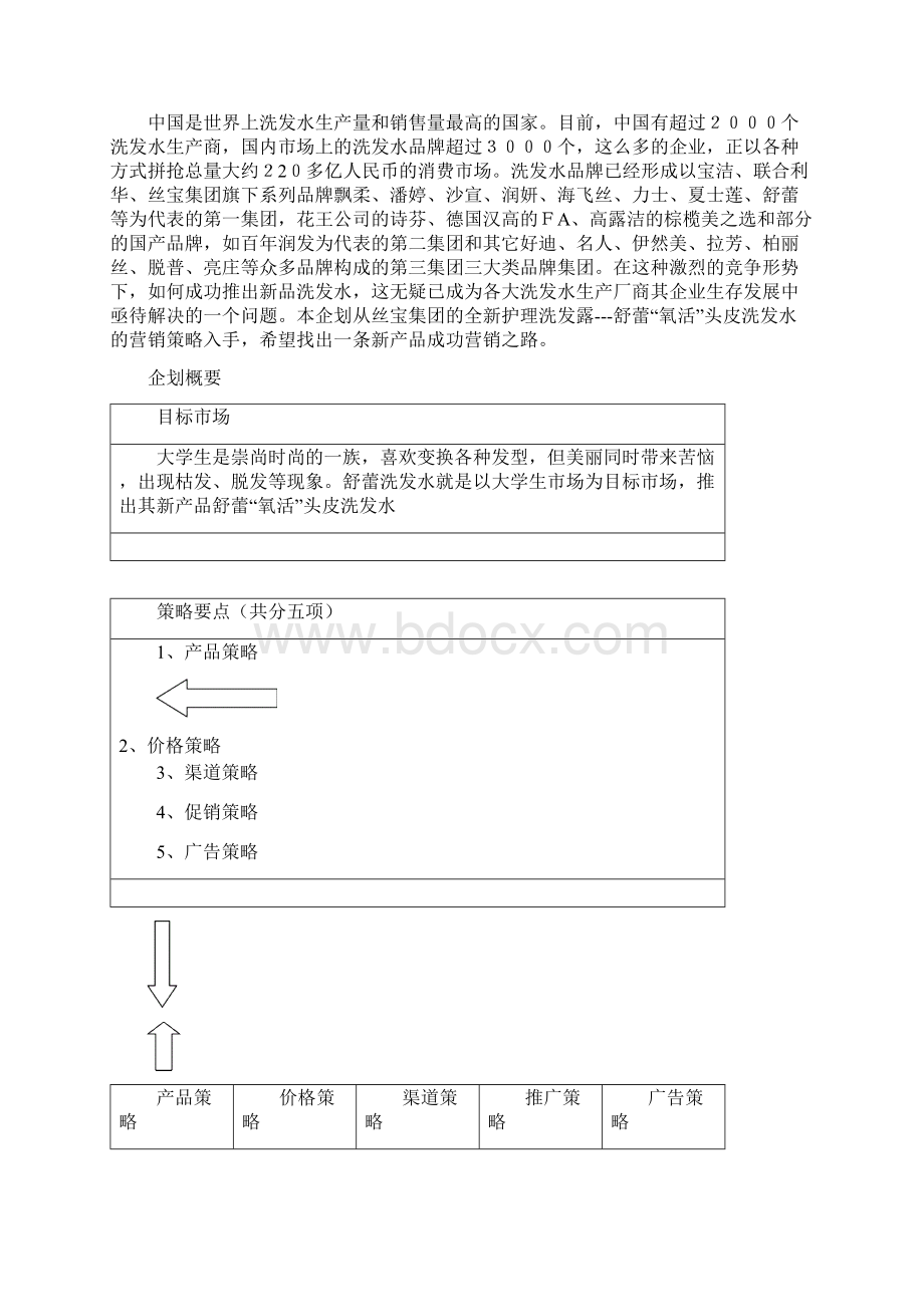 XX品牌洗发水市场营销企业规划书.docx_第2页