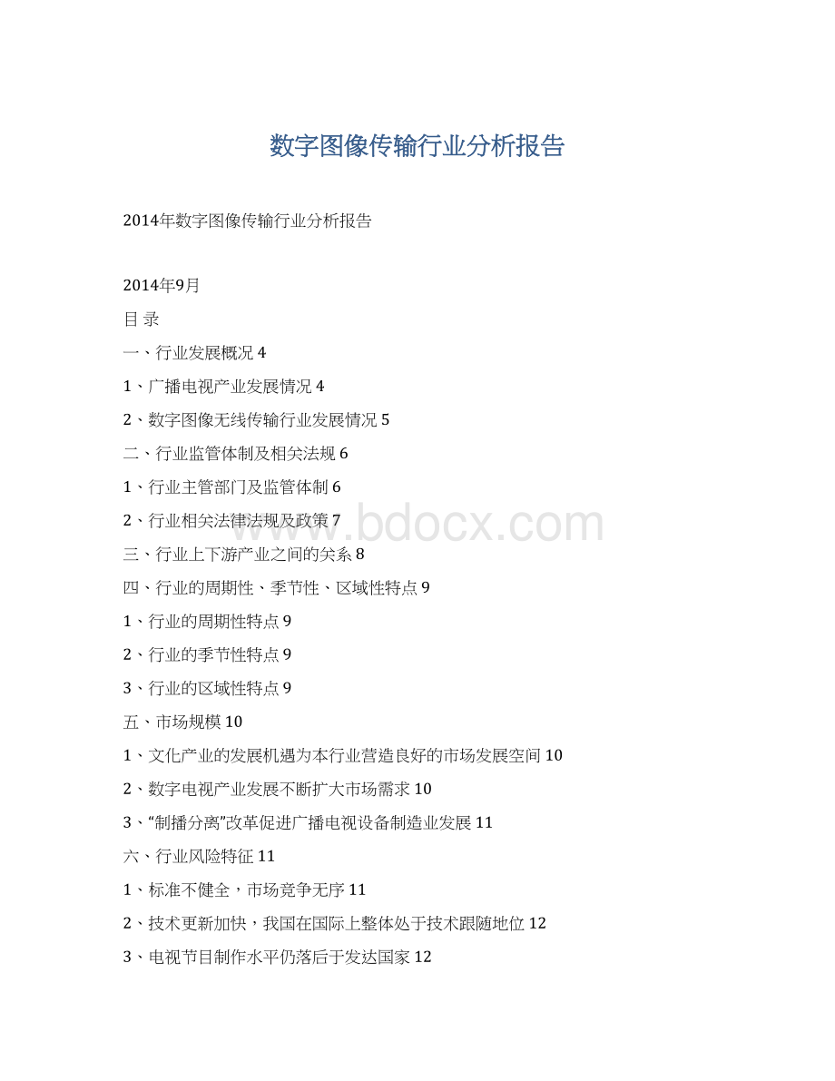 数字图像传输行业分析报告文档格式.docx