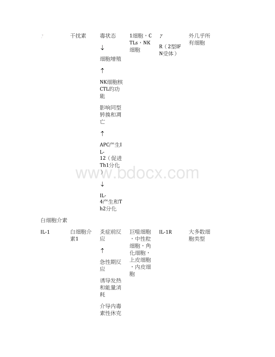 常见细胞因子趋化因子及其受体Word格式.docx_第2页