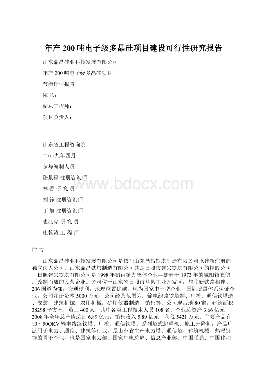 年产200吨电子级多晶硅项目建设可行性研究报告Word文档下载推荐.docx