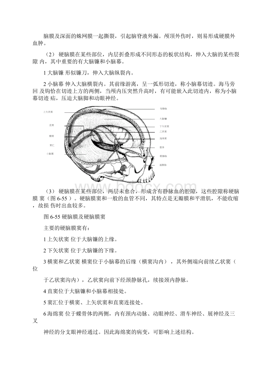 人体解剖学教材第47章脑脊髓被膜脑脊液及脑血管Word下载.docx_第3页