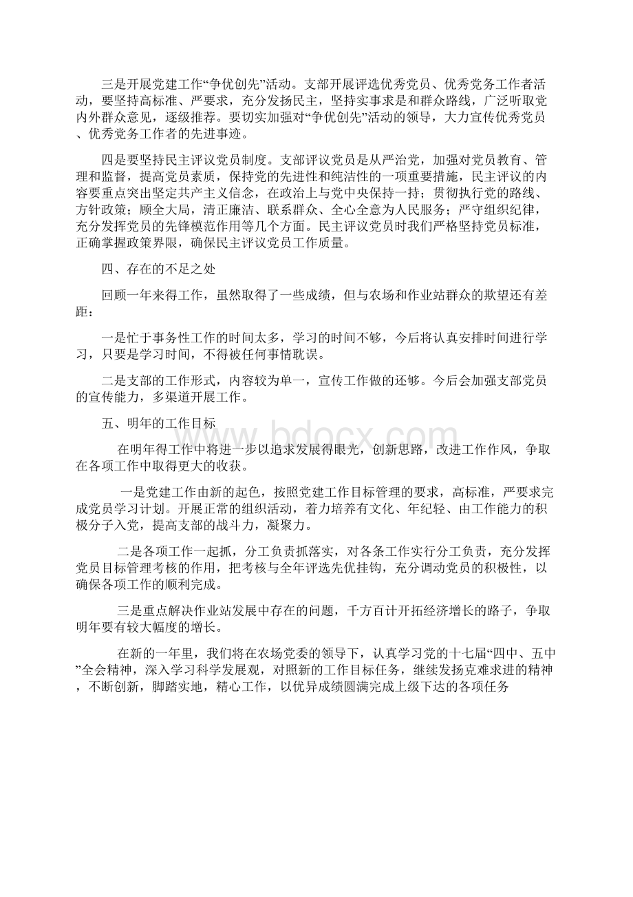 党支部工作总结汇报材料文档格式.docx_第3页