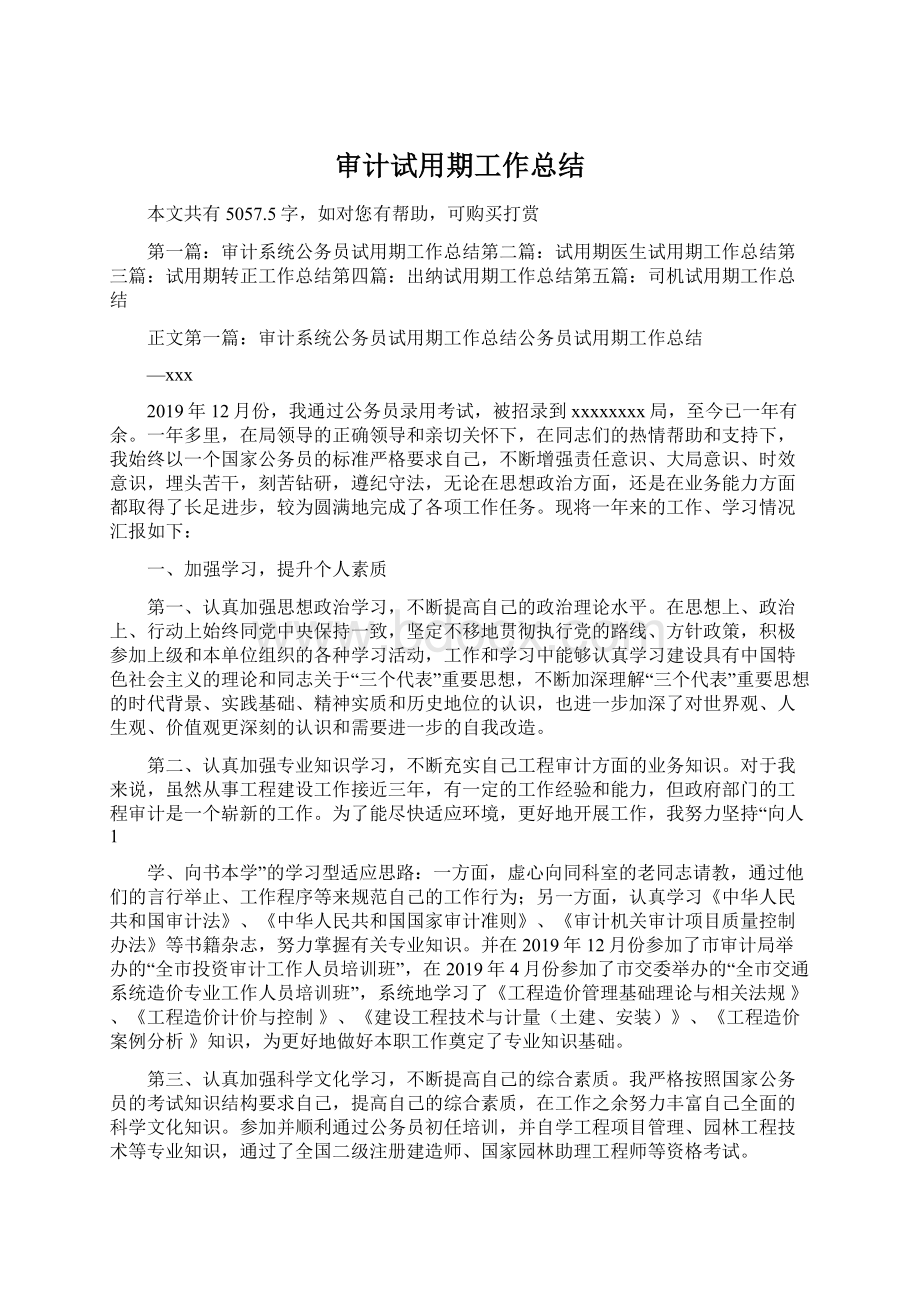 审计试用期工作总结Word格式.docx