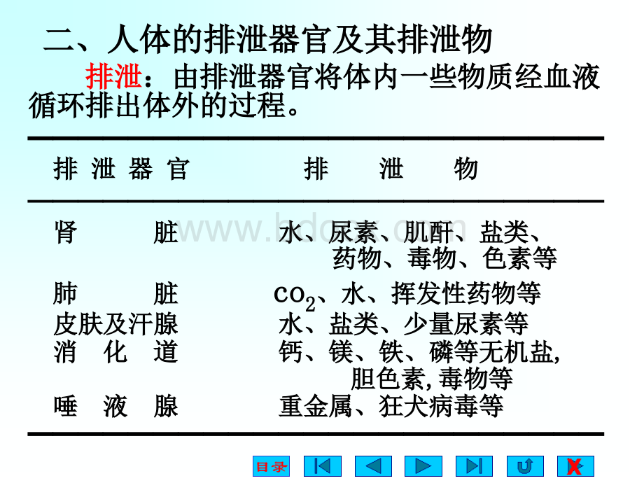 生理学课件1PPT文件格式下载.ppt_第3页