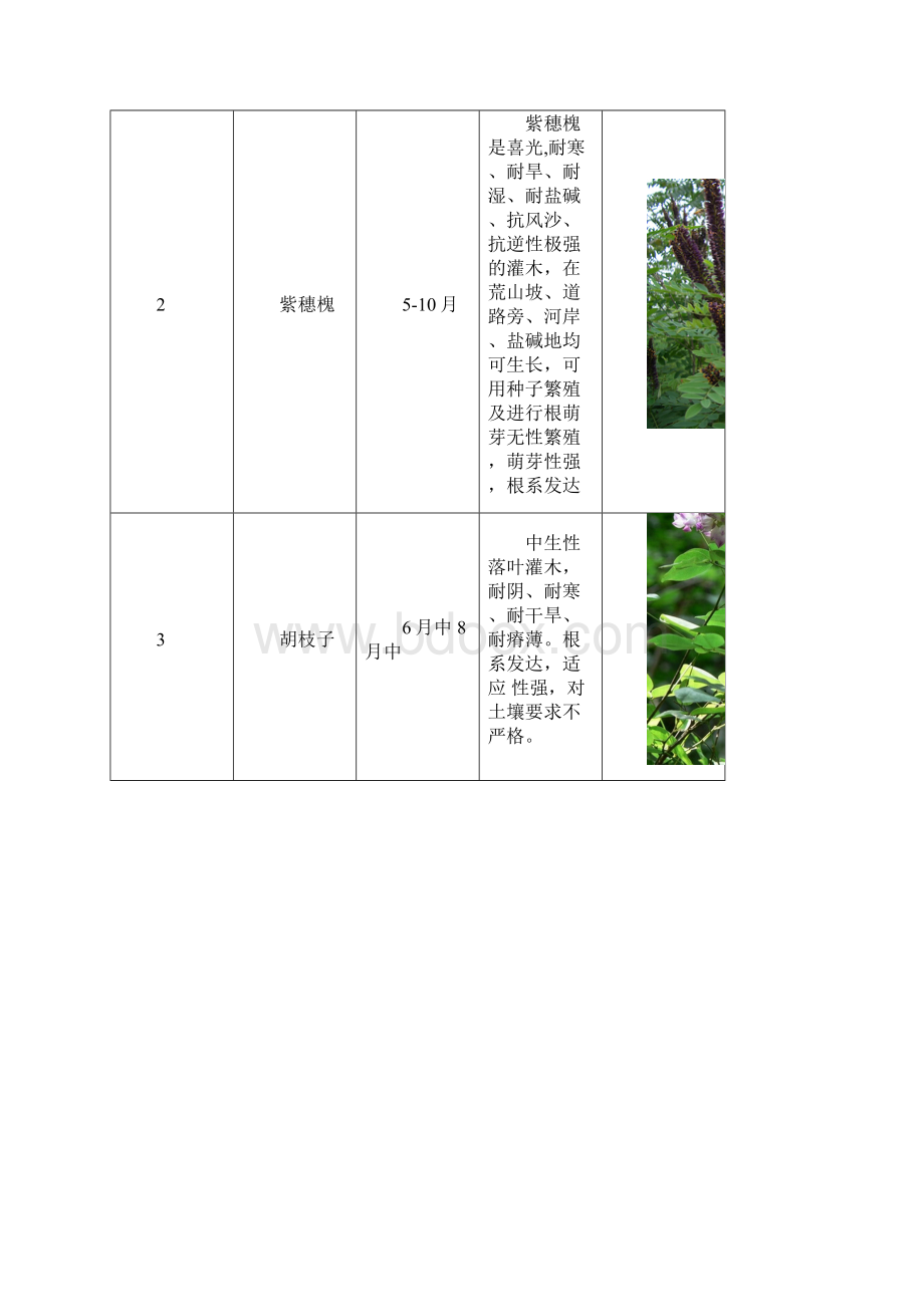 整理开花的树Word下载.docx_第2页