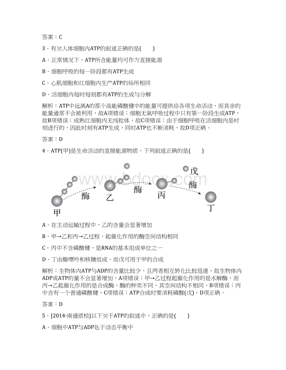 高考生物课时规范特训第10讲《细胞的能量通货ATP》文档格式.docx_第2页