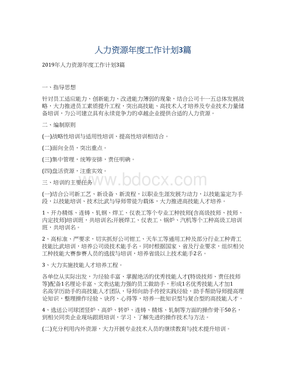 人力资源年度工作计划3篇文档格式.docx_第1页