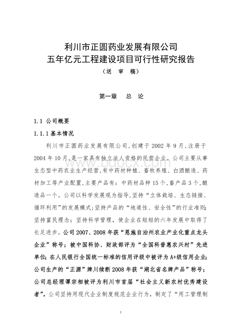 目可研报告_精品文档_精品文档Word文件下载.doc