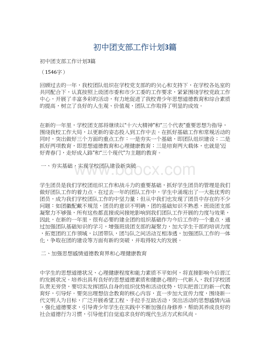 初中团支部工作计划3篇.docx