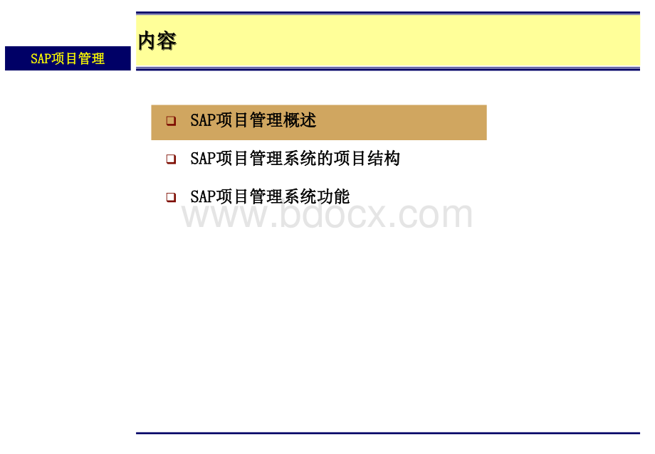 项目工程模板SAP项目管理.ppt_第2页