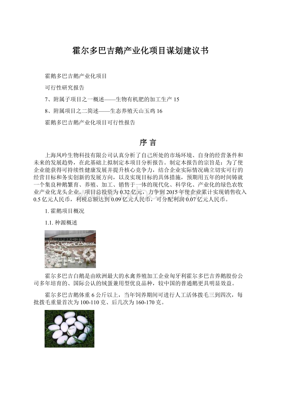 霍尔多巴吉鹅产业化项目谋划建议书.docx_第1页