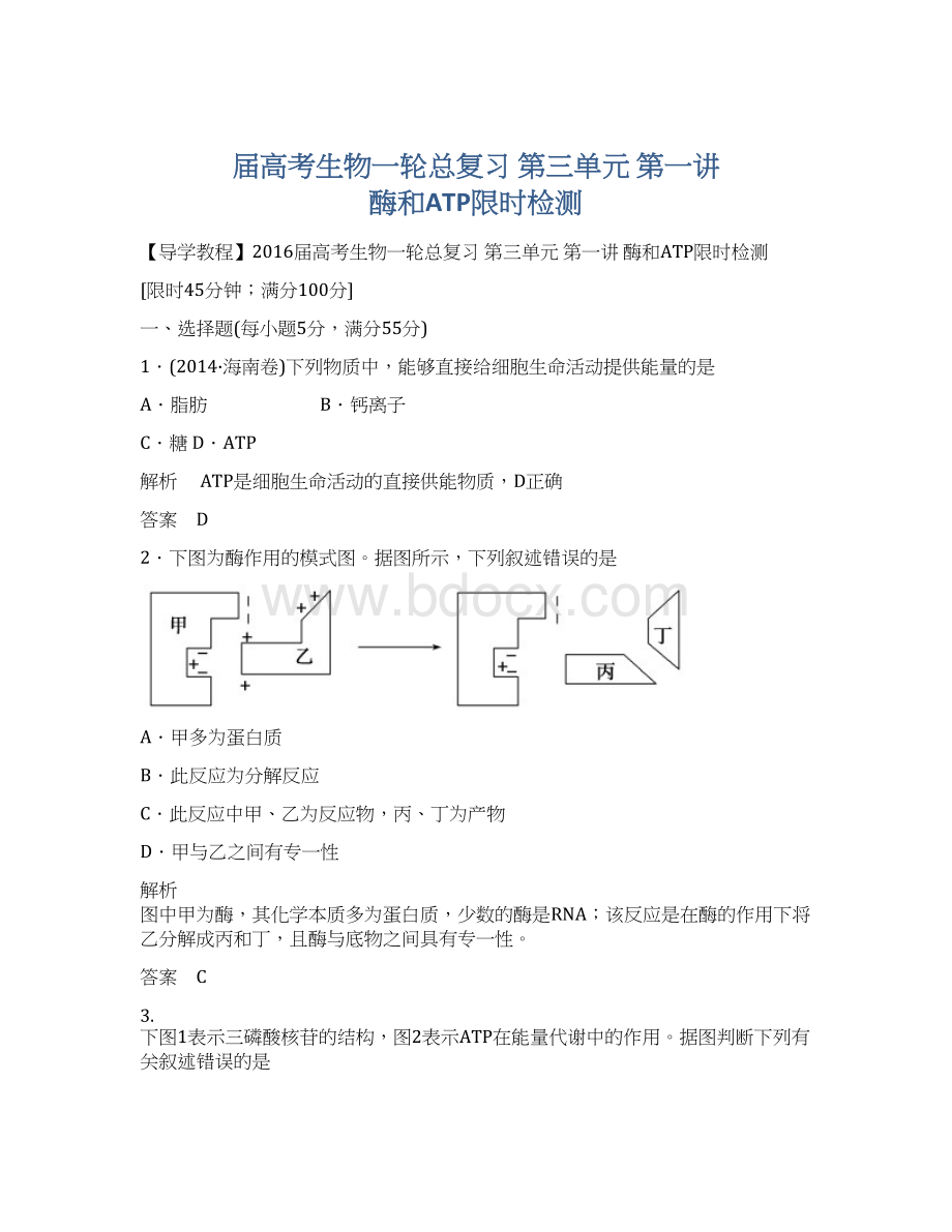 届高考生物一轮总复习 第三单元 第一讲 酶和ATP限时检测.docx