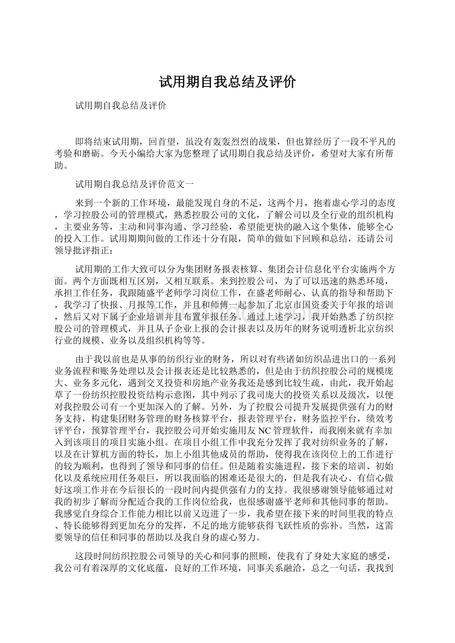 试用期自我总结及评价.docx