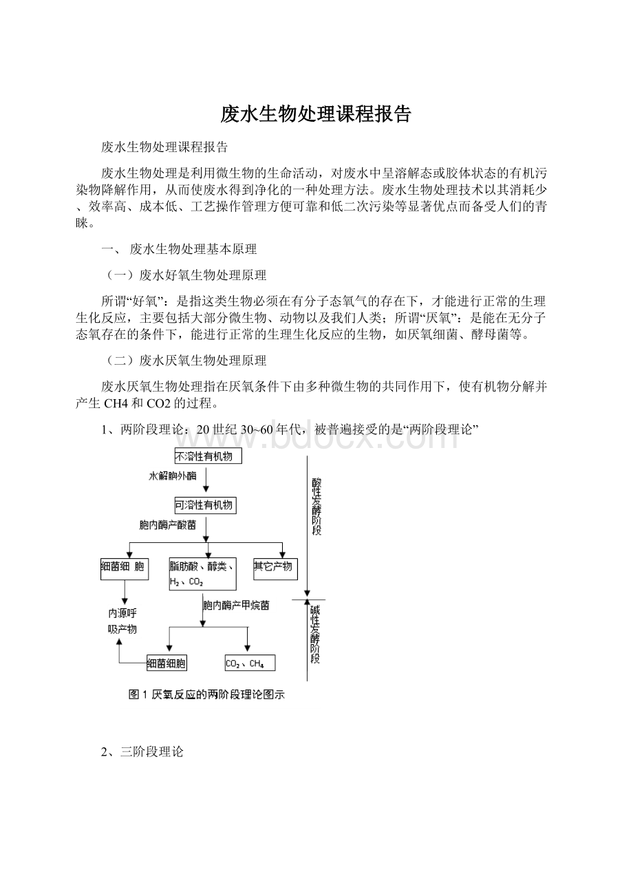 废水生物处理课程报告.docx_第1页