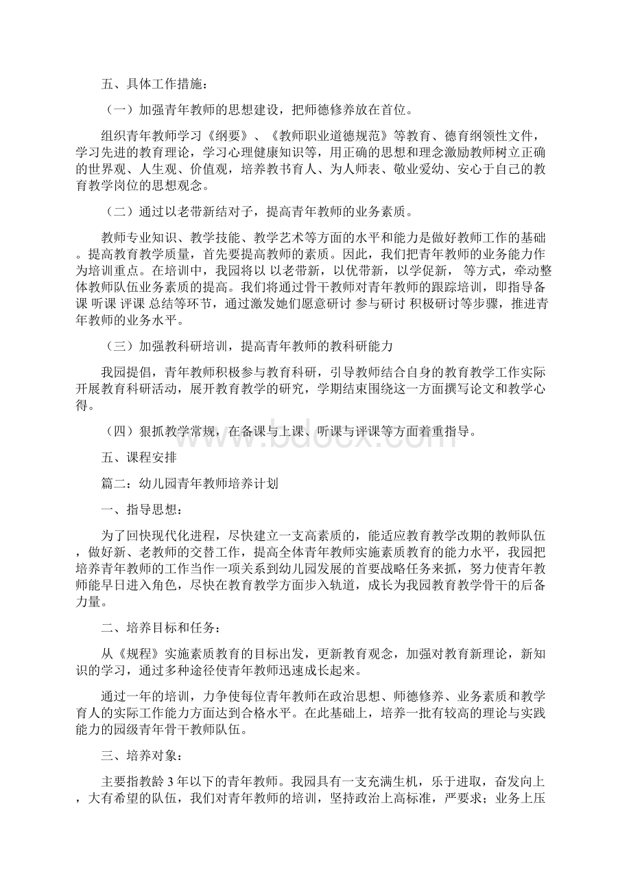 幼儿园青年教师培养计划.docx_第2页