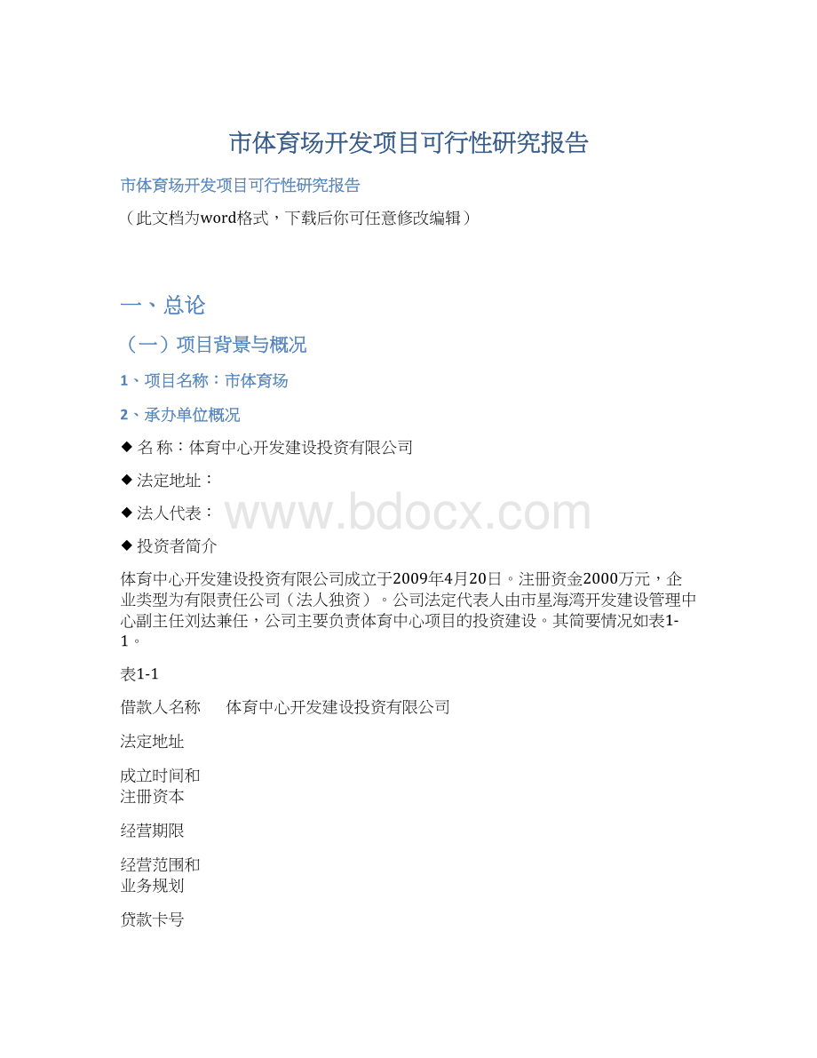 市体育场开发项目可行性研究报告.docx_第1页