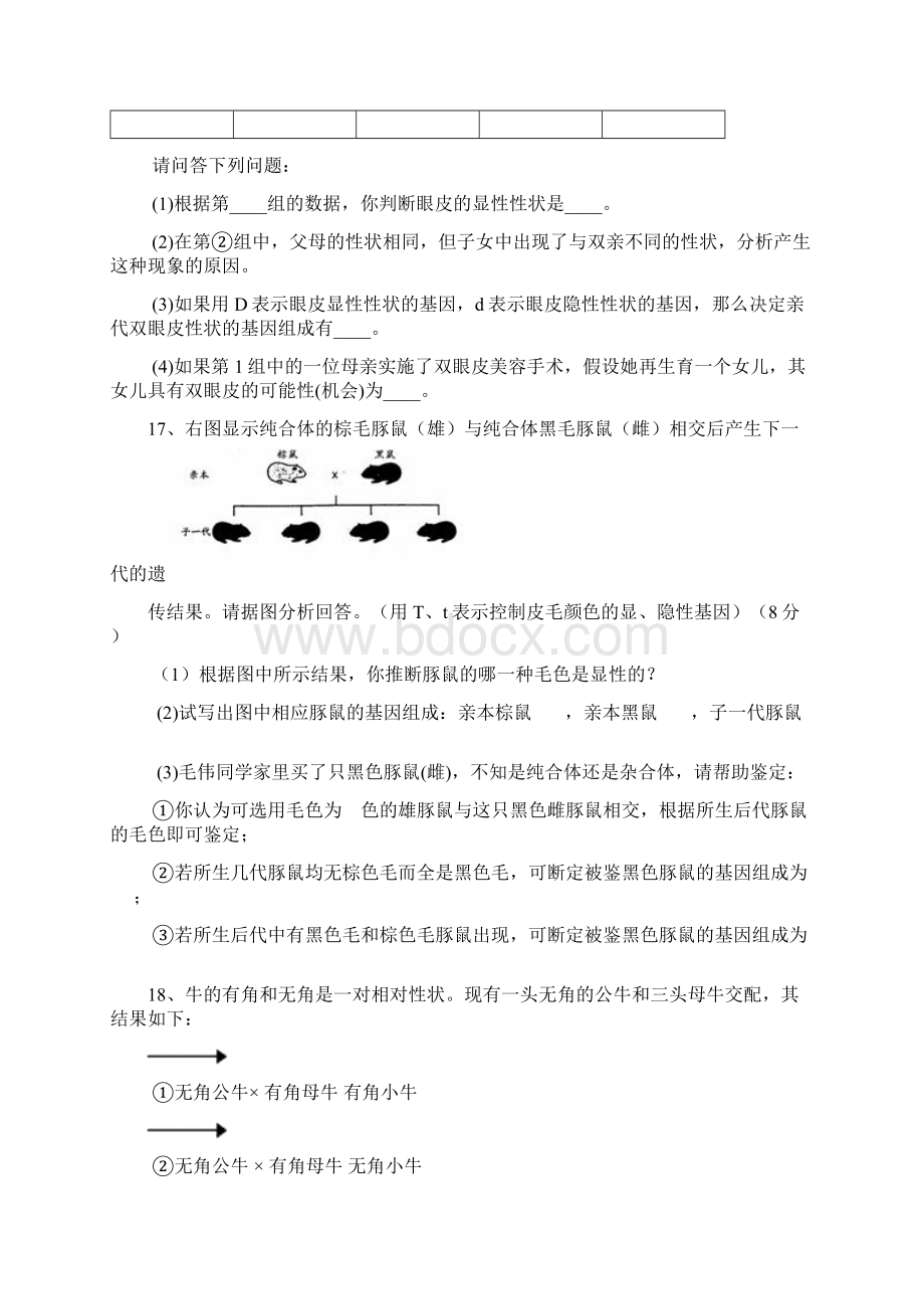 八年级生物基因的显性和隐性练习题演示教学Word文档下载推荐.docx_第3页