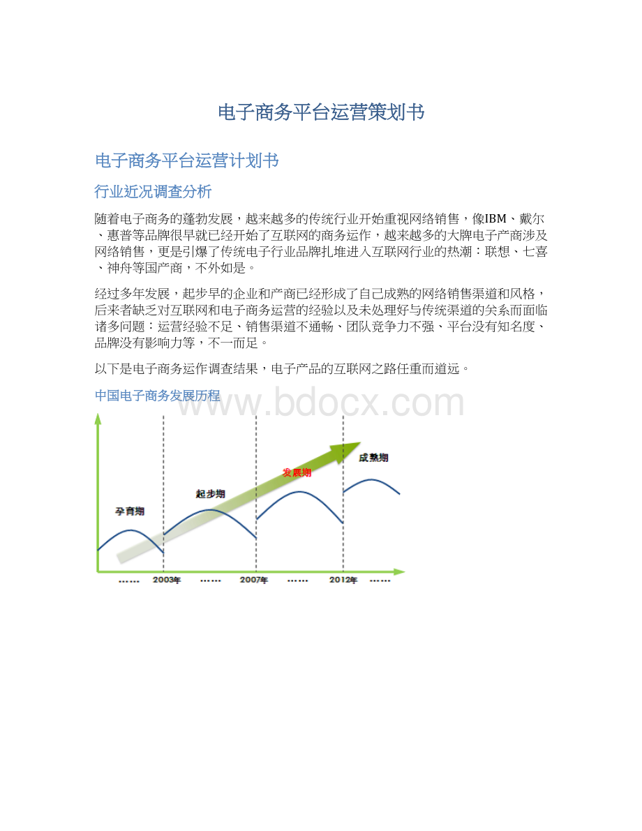 电子商务平台运营策划书Word格式.docx