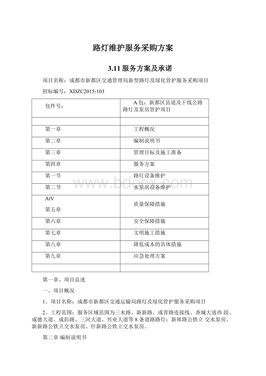 路灯维护服务采购方案Word格式文档下载.docx