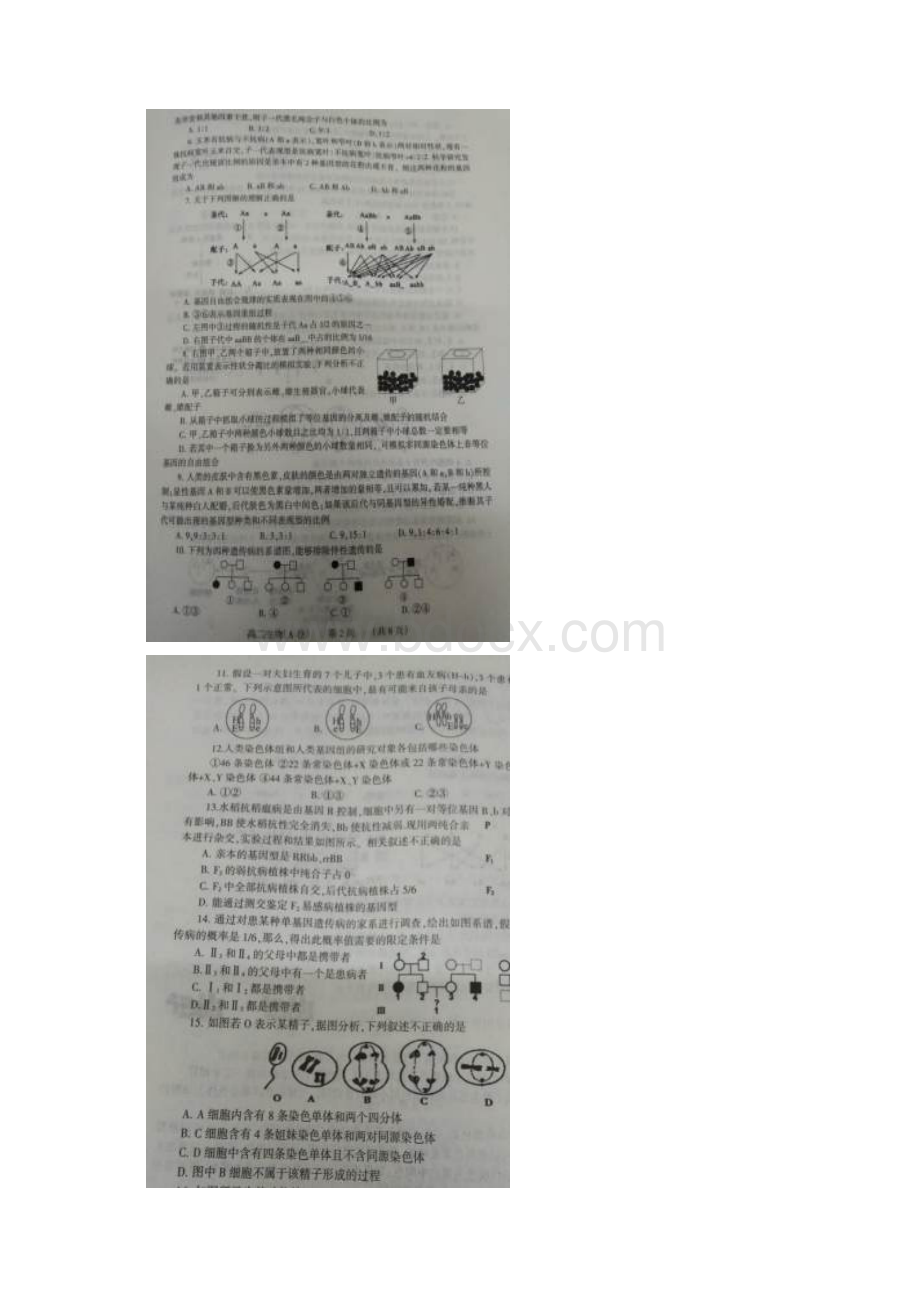 河南省濮阳市学年高二生物下学期升级考试试题A卷扫描版06250324.docx_第2页