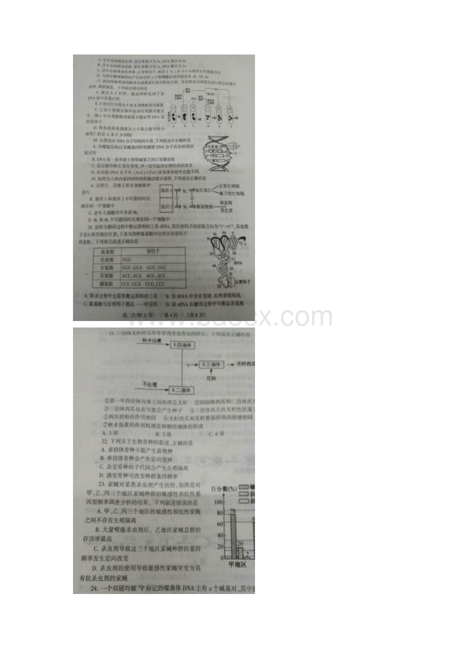 河南省濮阳市学年高二生物下学期升级考试试题A卷扫描版06250324.docx_第3页