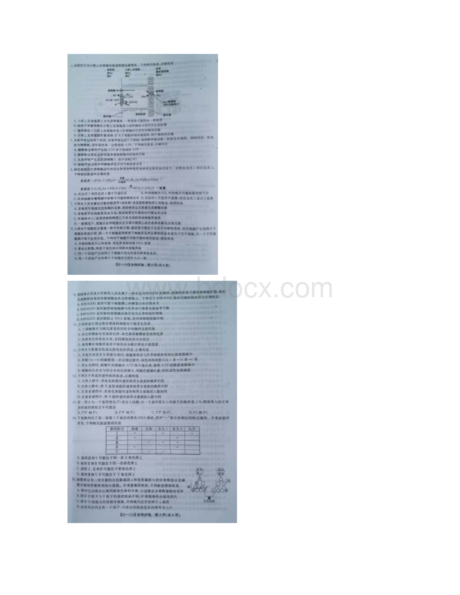 届安徽省皖南八校高三第三次联考试题生物 图片版Word文件下载.docx_第2页