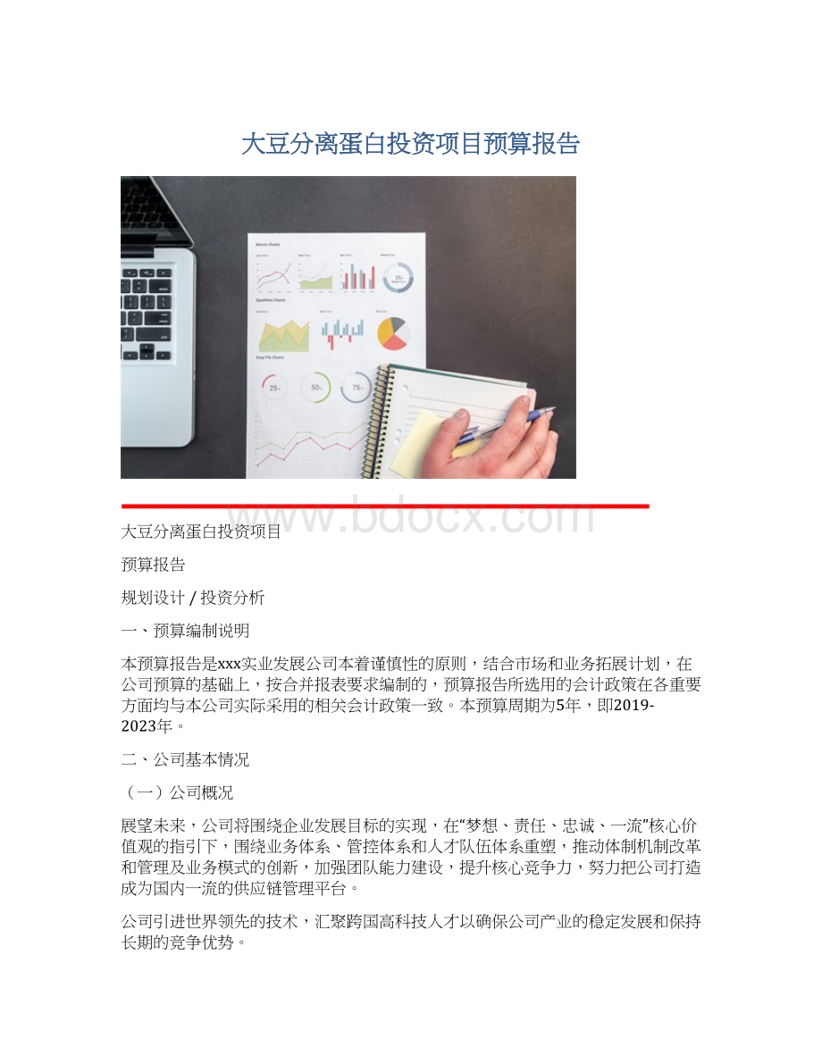 大豆分离蛋白投资项目预算报告.docx_第1页