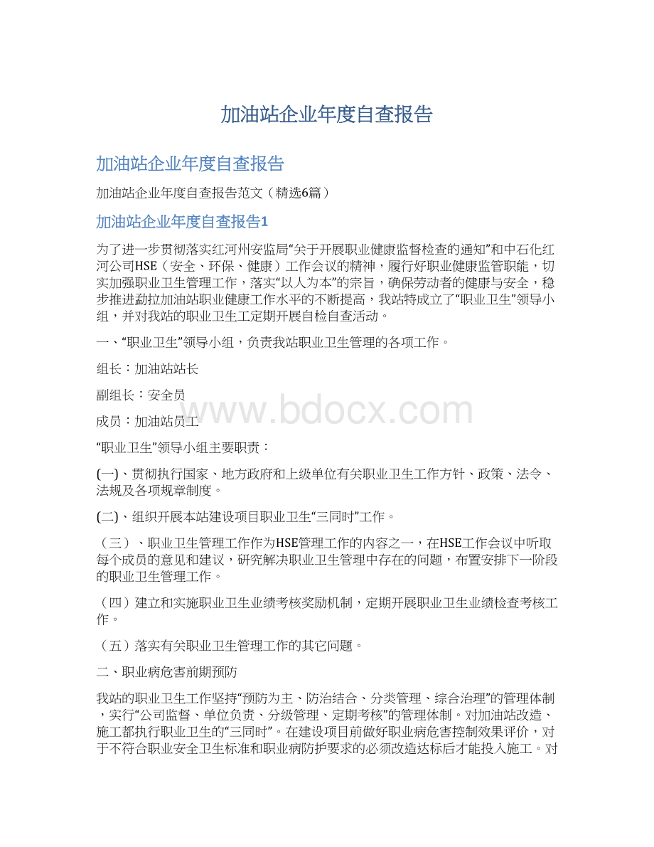 加油站企业年度自查报告.docx_第1页