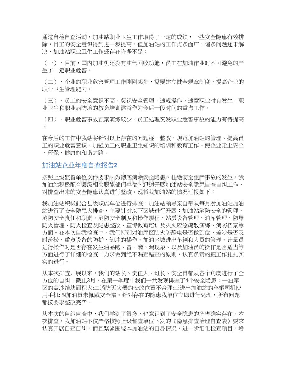 加油站企业年度自查报告.docx_第3页