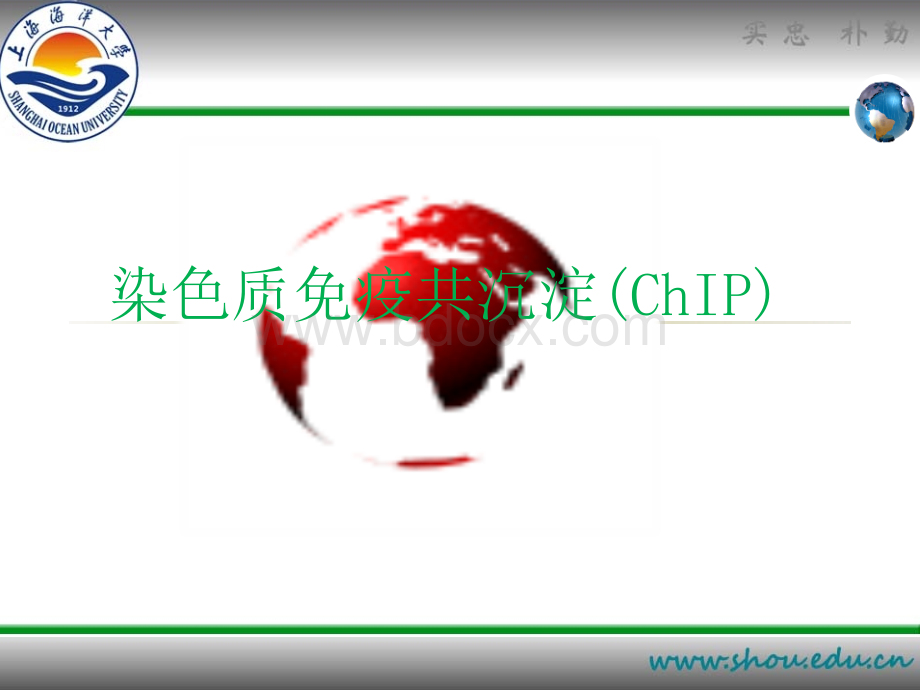 染色质免疫共沉淀PPT.pptx_第1页