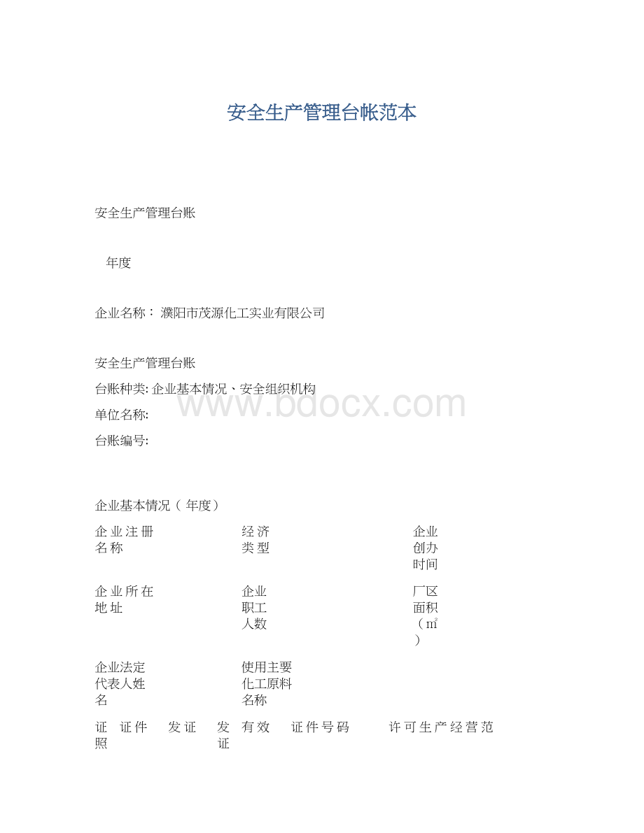 安全生产管理台帐范本文档格式.docx