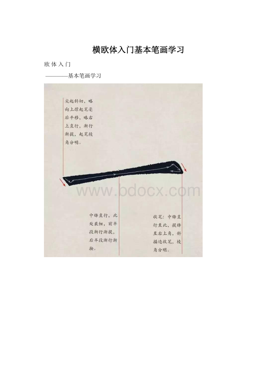 横欧体入门基本笔画学习.docx