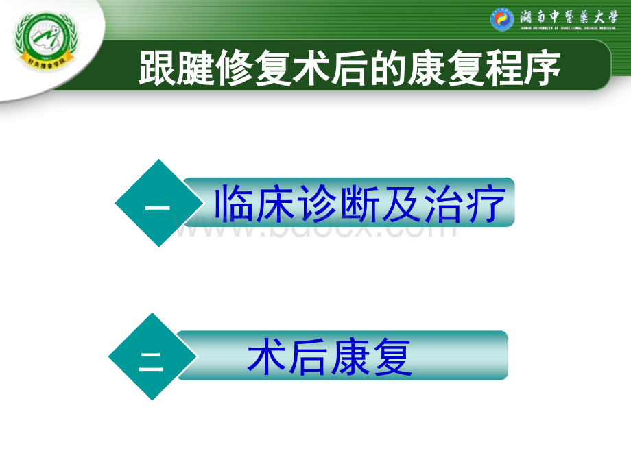 跟腱断裂修复术后的康复程序_精品文档.ppt_第2页