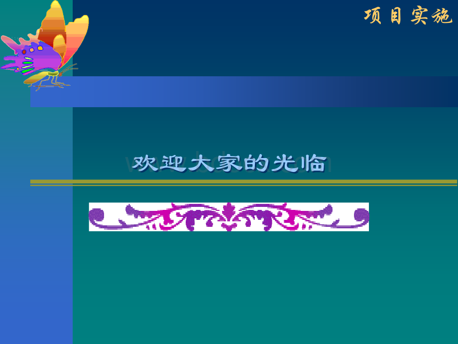 关于软件项目实施.ppt