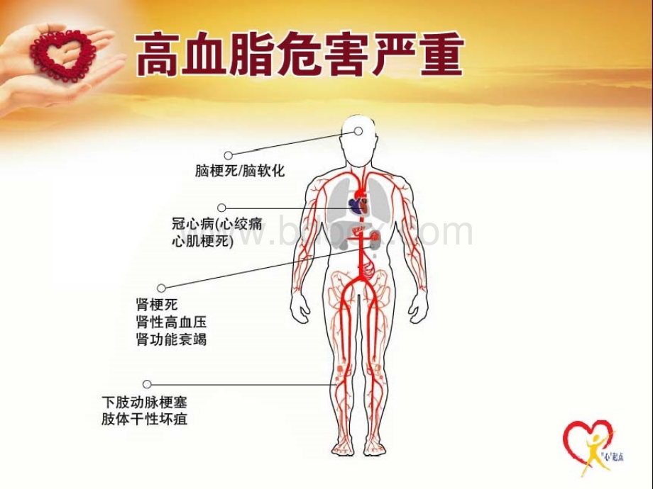 让我们一起轻松学习血脂_精品文档.ppt_第3页