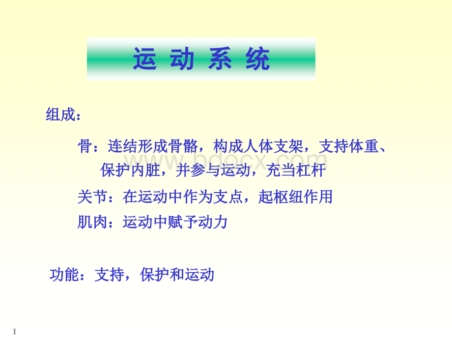 运动系统-骨学课件PPT_精品文档优质PPT.ppt