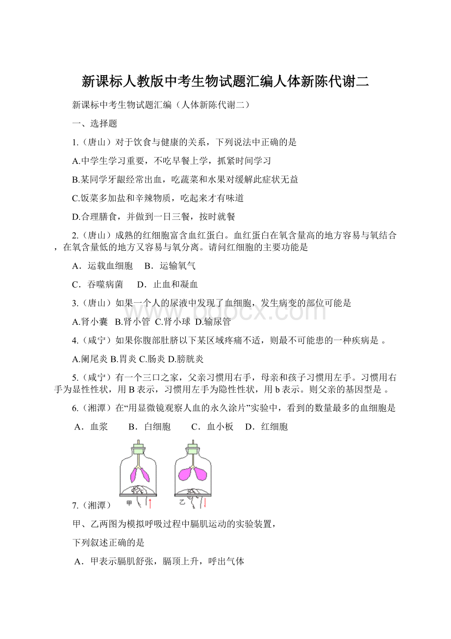 新课标人教版中考生物试题汇编人体新陈代谢二Word格式文档下载.docx