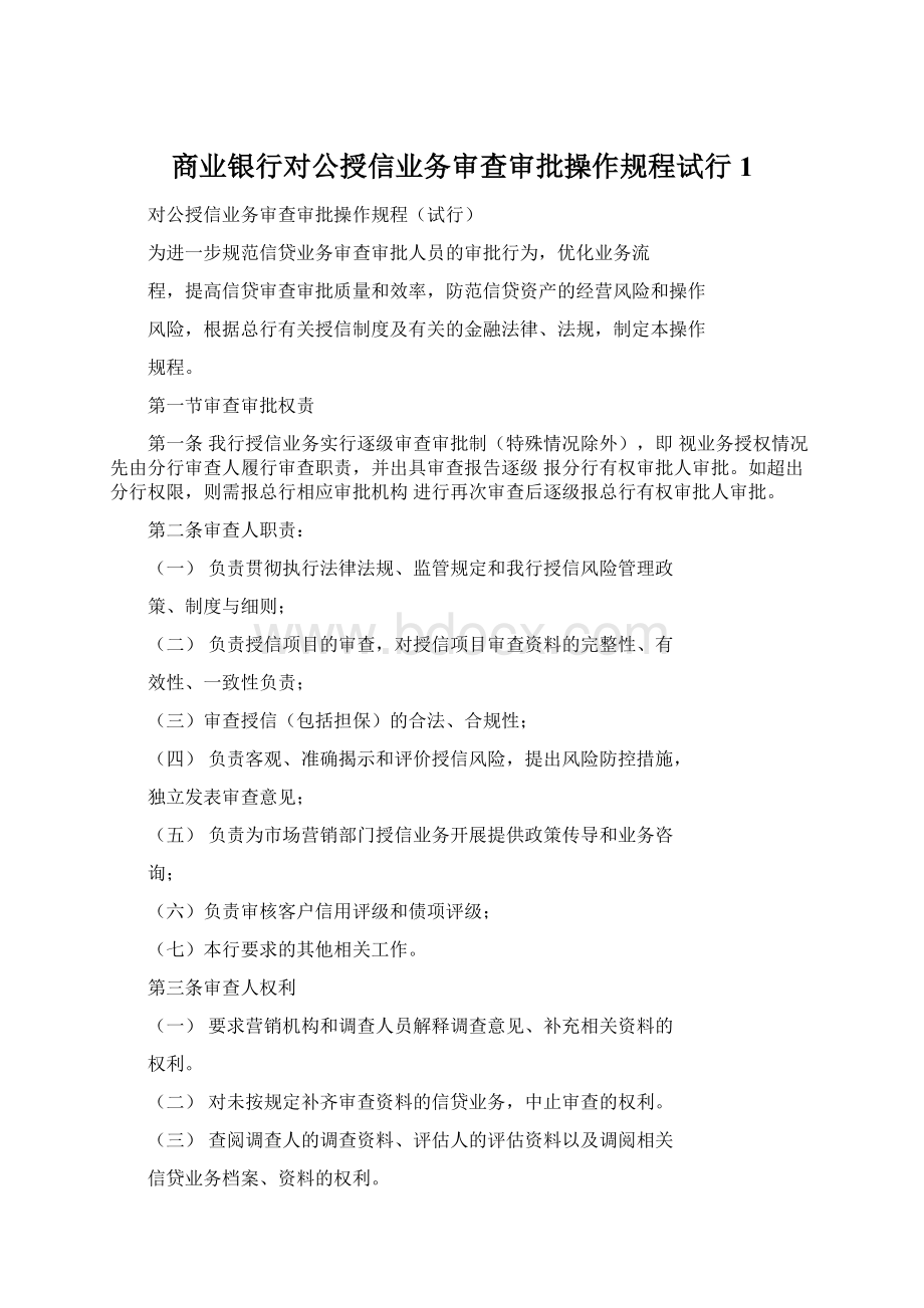 商业银行对公授信业务审查审批操作规程试行1文档格式.docx_第1页