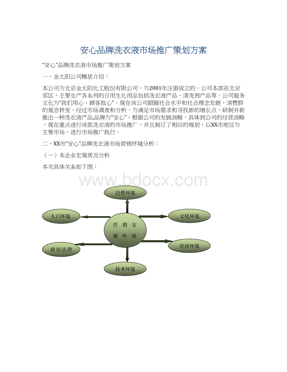 安心品牌洗衣液市场推广策划方案.docx_第1页