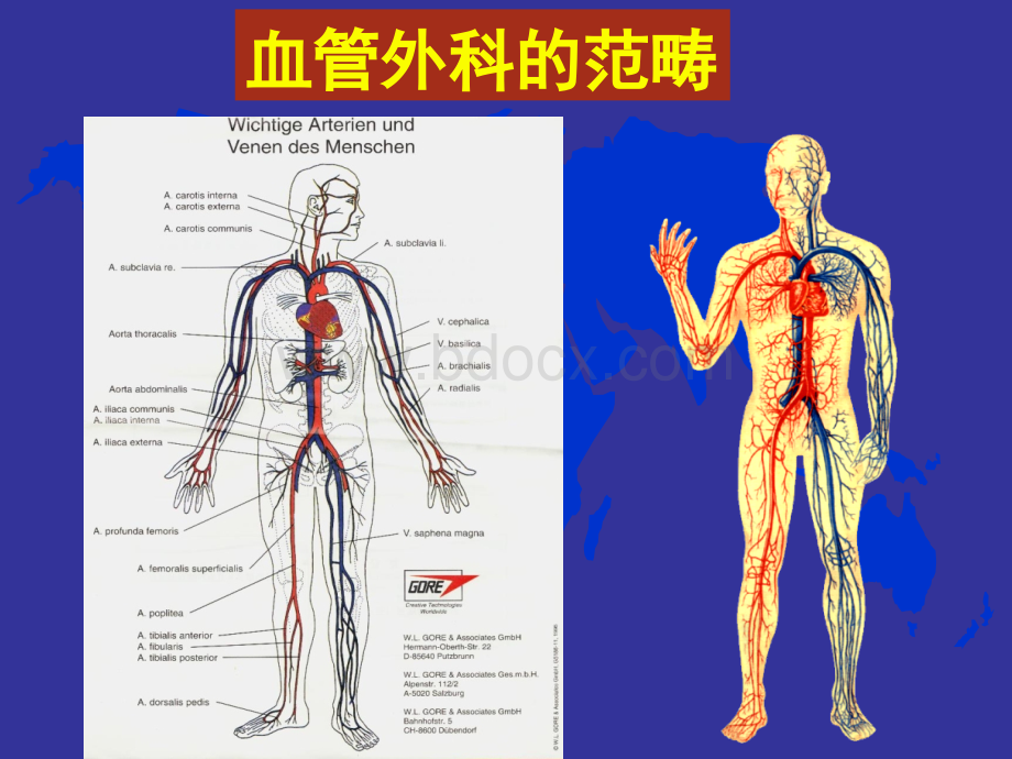 血管外科疾病_精品文档PPT推荐.ppt_第3页