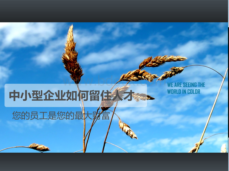 中小企业如何留住人才.ppt_第1页