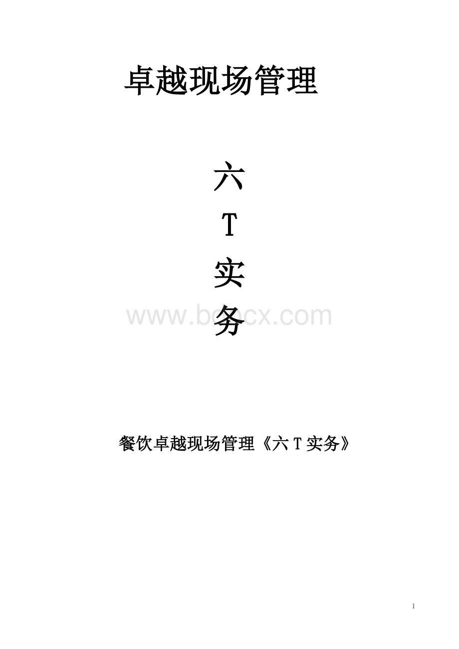 “六T实务(培训资料)Word文件下载.doc