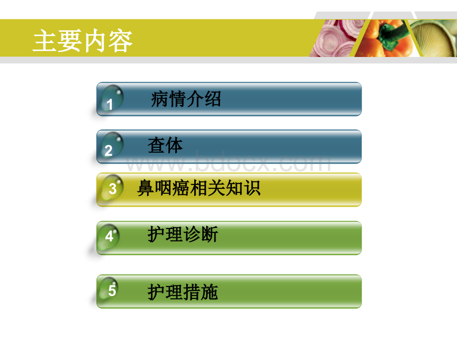 鼻咽癌教学查房_精品文档.ppt_第2页