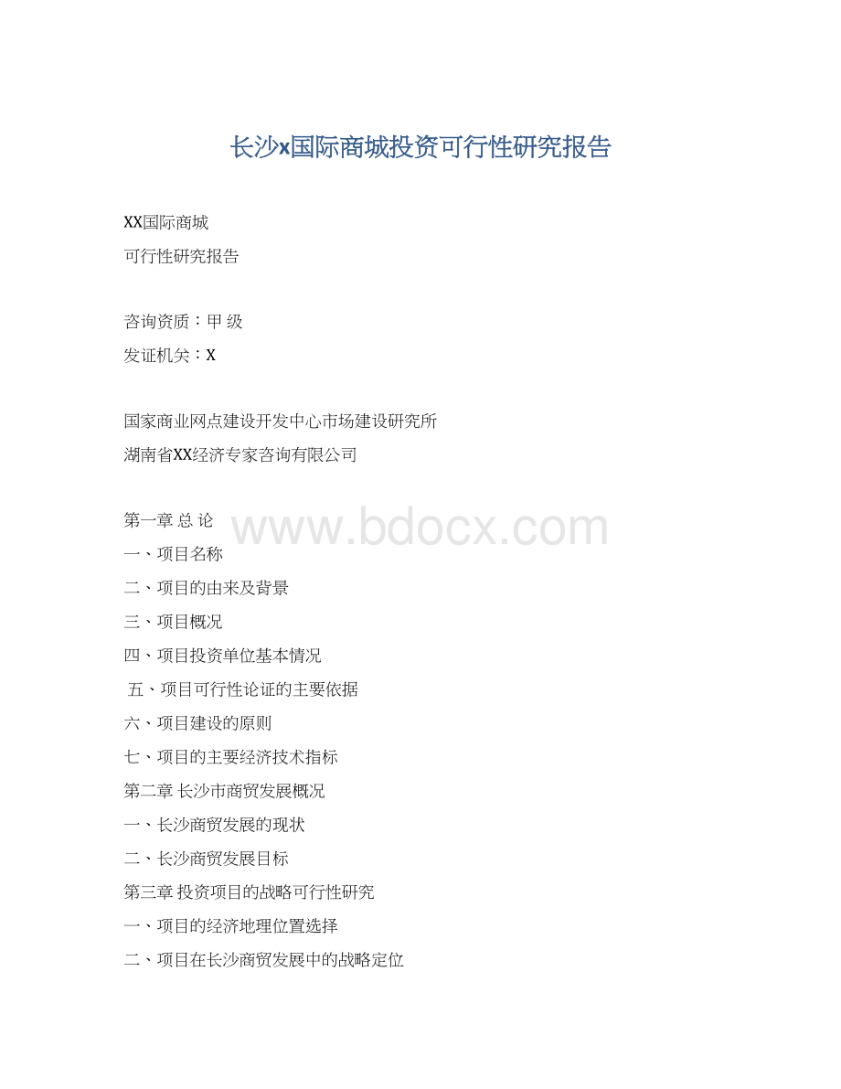 长沙x国际商城投资可行性研究报告.docx_第1页