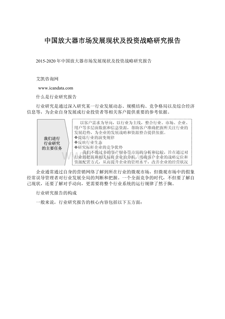 中国放大器市场发展现状及投资战略研究报告.docx