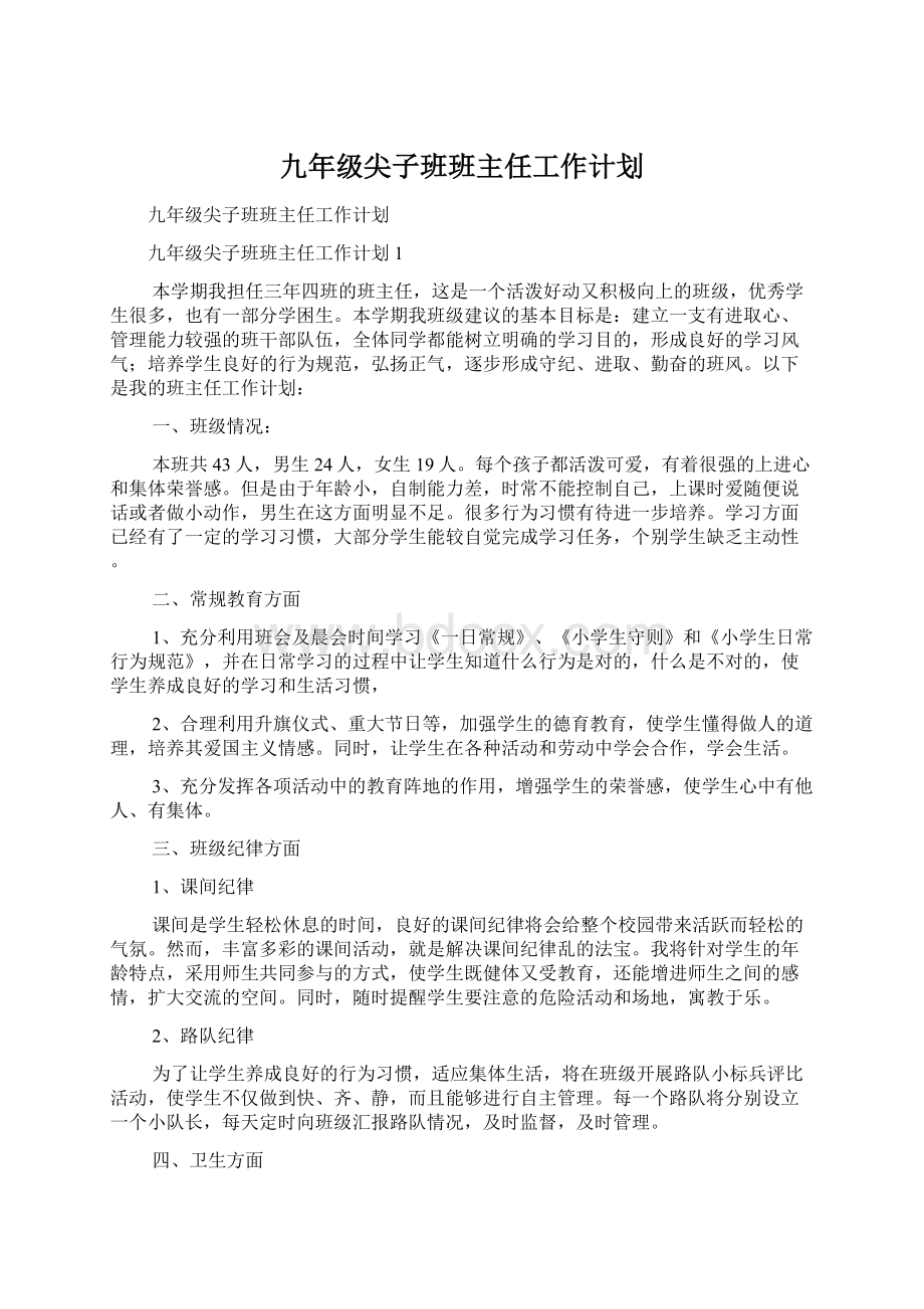 九年级尖子班班主任工作计划文档格式.docx