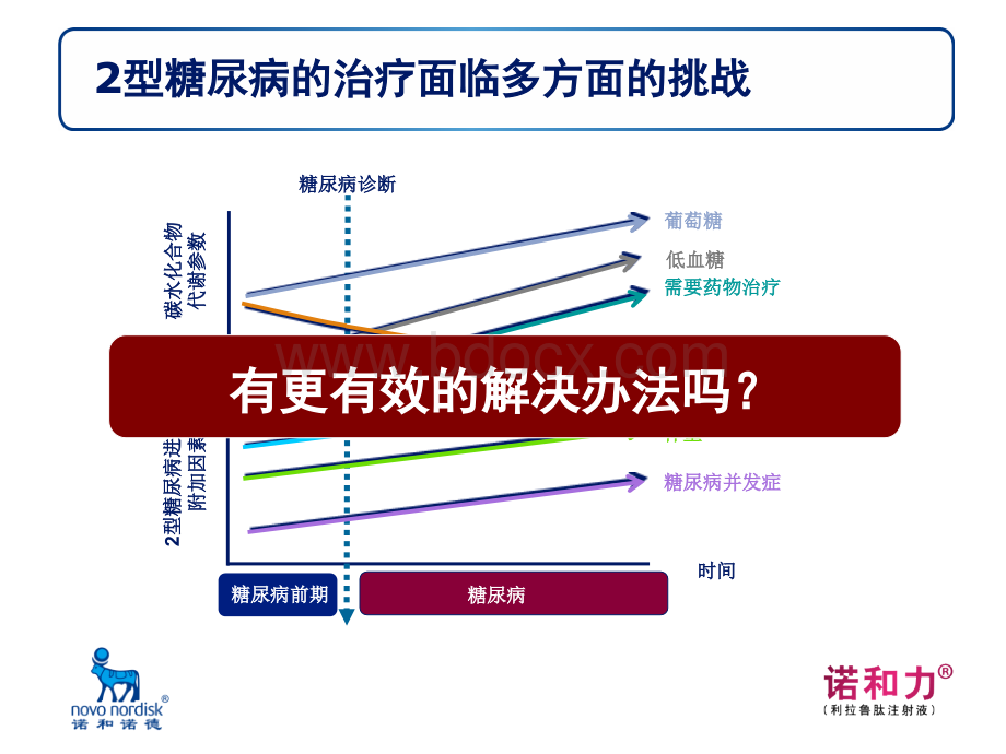 诺和力利拉鲁肽学术演讲_精品文档PPT推荐.ppt_第2页