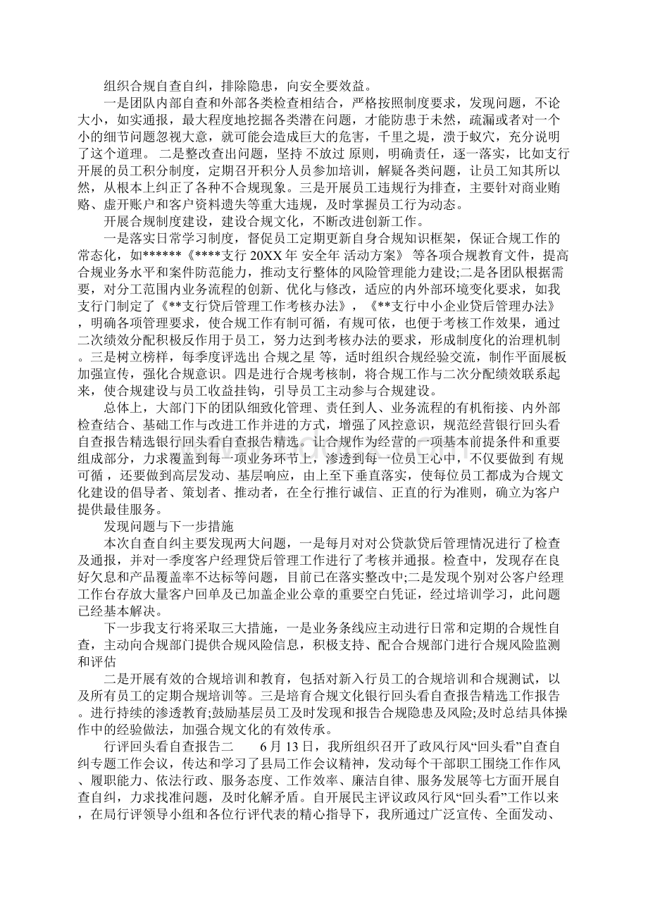 行评回头看自查报告.docx_第2页