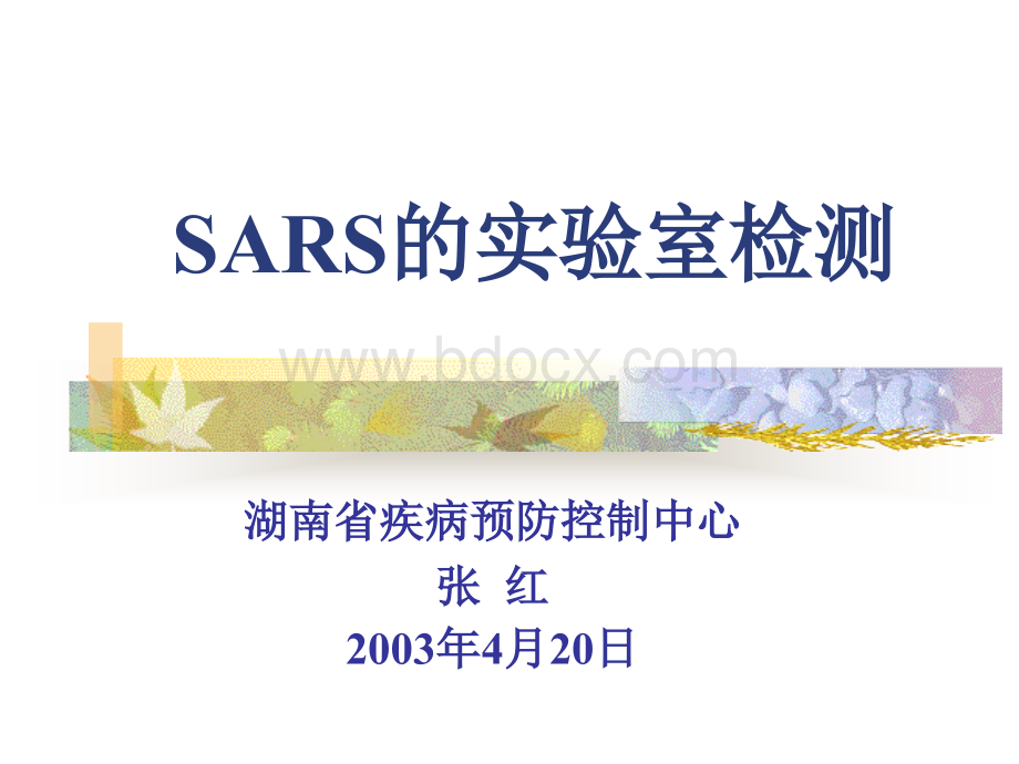 非典型肺炎SARS实验室培训_精品文档.ppt